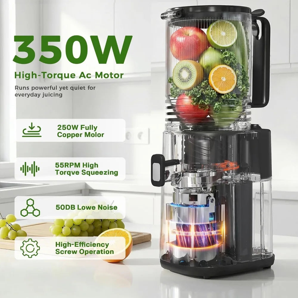 Cold Press Juicer, 5.5in Wide Chute, Slow Masticating for Whole Fruits & Veggies, Gray