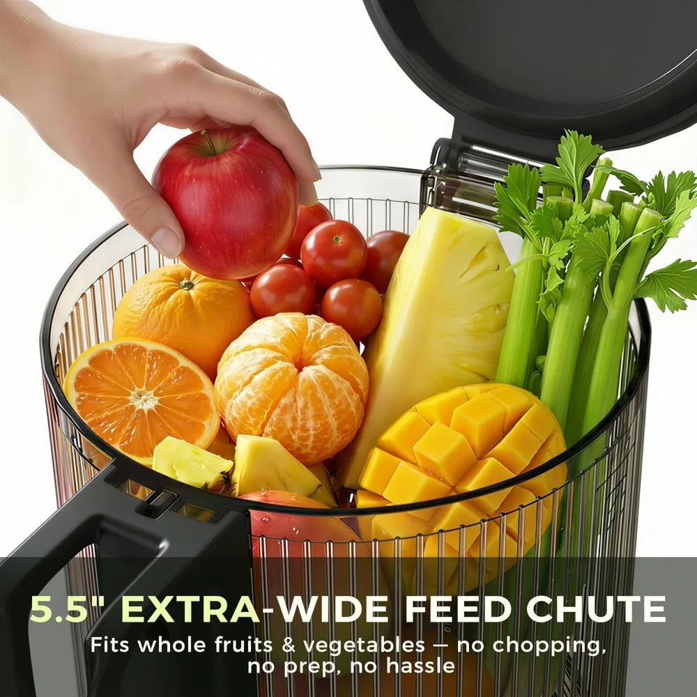Cold Press Juicer, 5.5in Wide Chute, Slow Masticating for Whole Fruits & Veggies, Gray