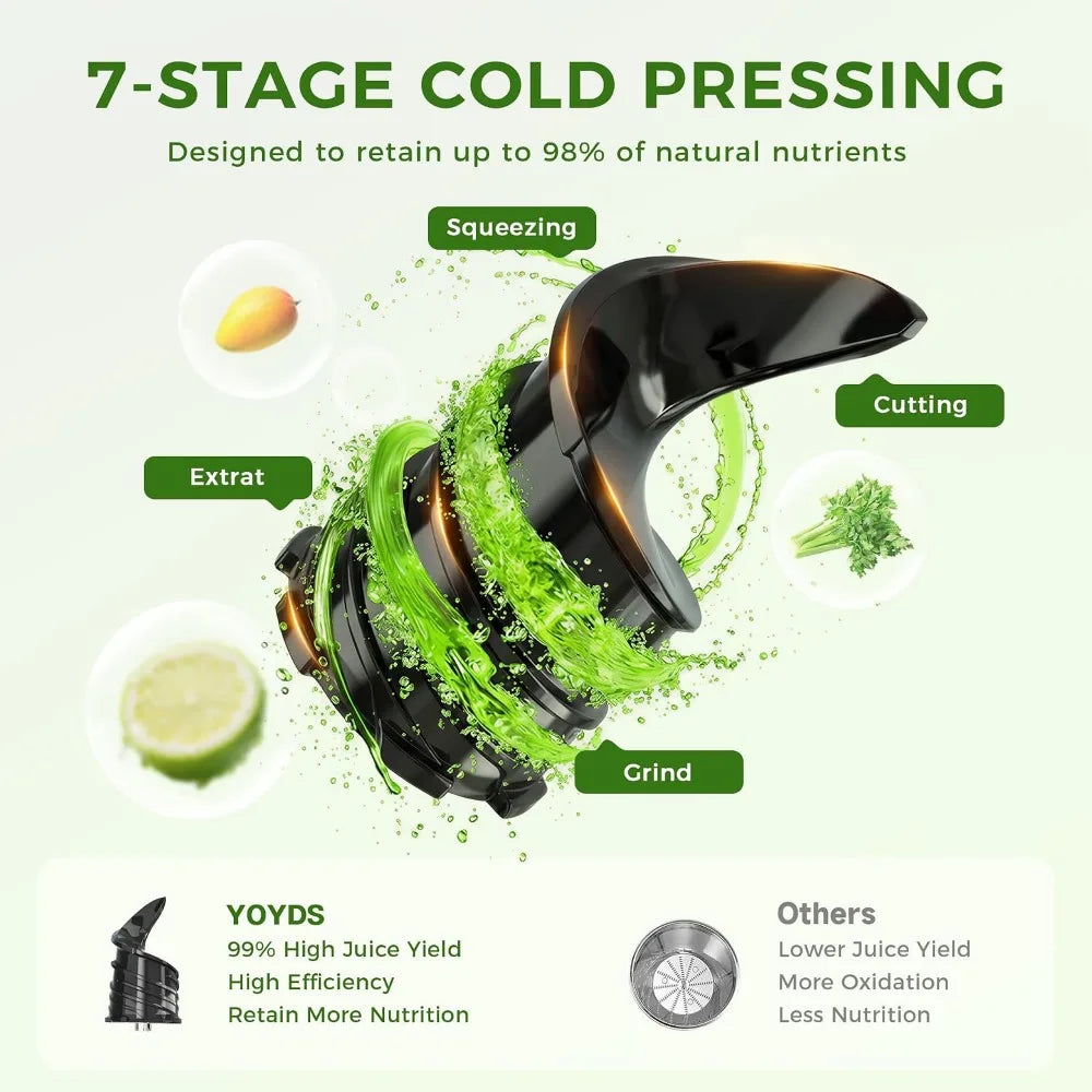 Cold Press Juicer, 5.5in Wide Chute, Slow Masticating for Whole Fruits & Veggies, Gray